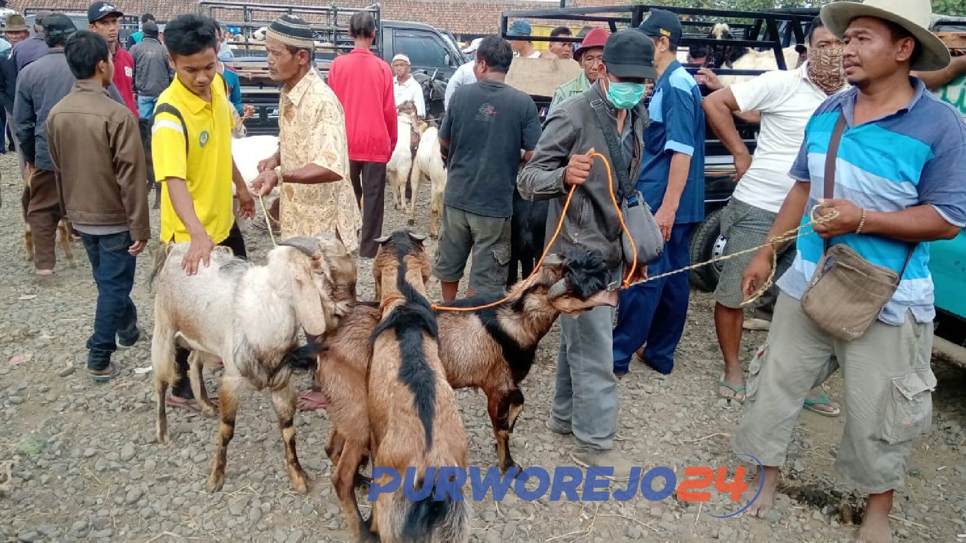 Para pedagang hewan kurban nampak memenuhi pasar hewan Batoh, Bayan, Kamis (8/8/2019).