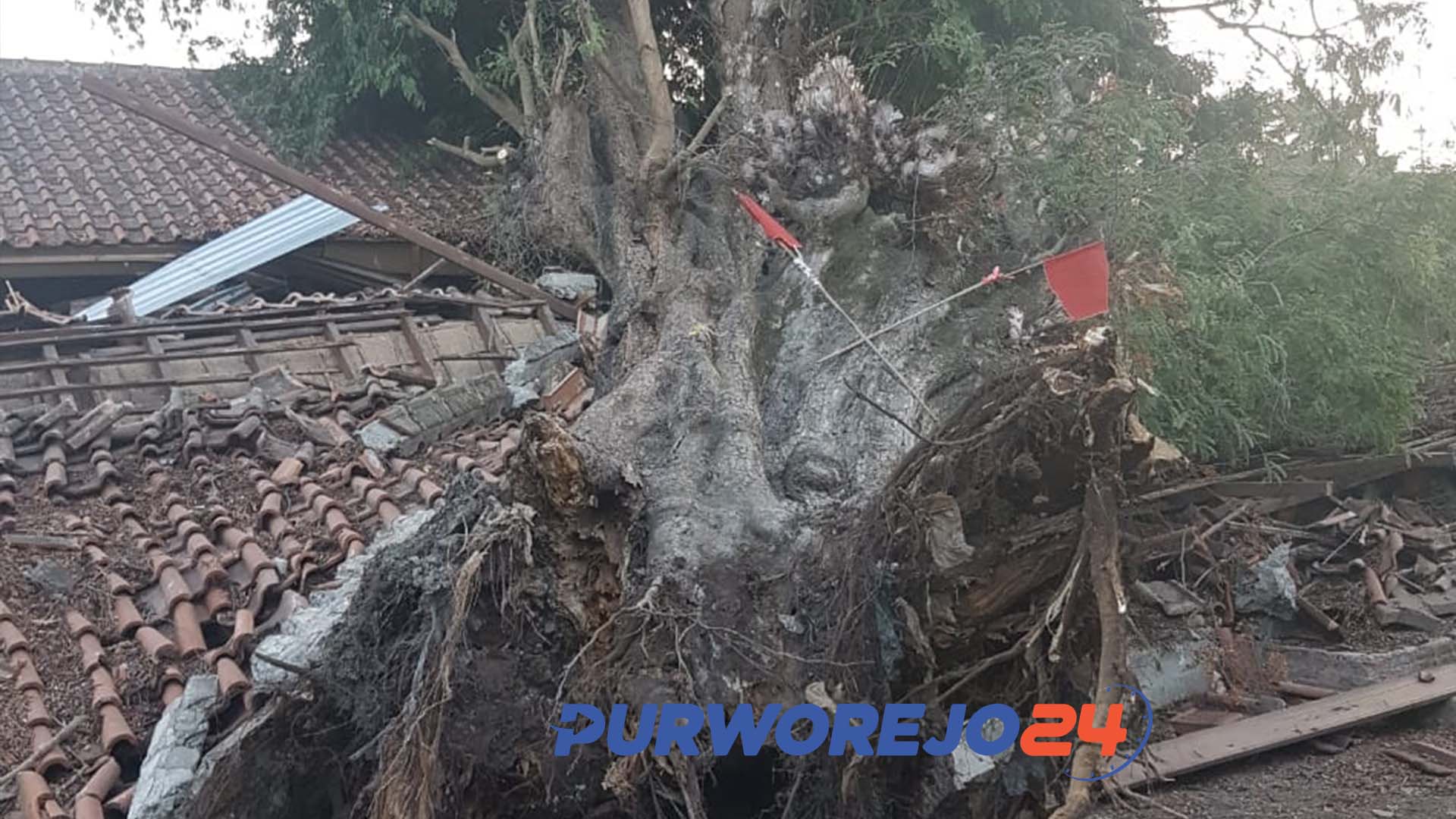 Pohon Asem tumbang timpa kios Pasar Wirotaman Kutoarjo