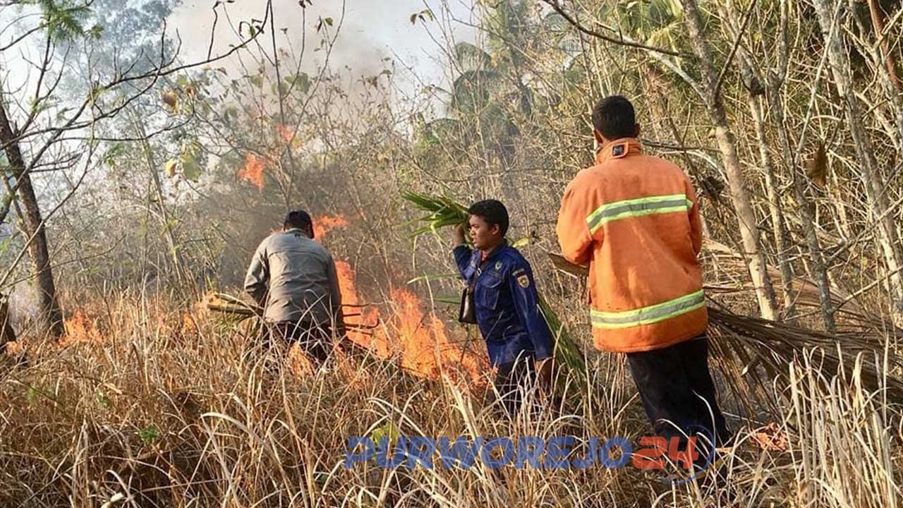 Lahan kebun Jati di Desa Rendeng, Gebang, Purworejo terbakar. (24/9/2019)