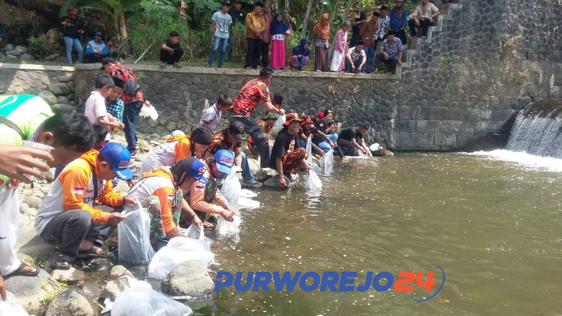 Jogokali tebar 74 ribu benih ikan Di Sungai Bogowonto. (1/9/2019)