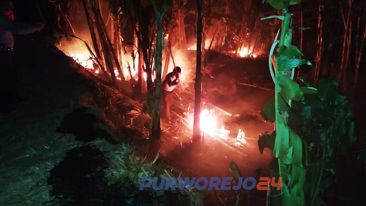 Petugas Damkar berusaha memadamkan kebakaran di kebun bambu.