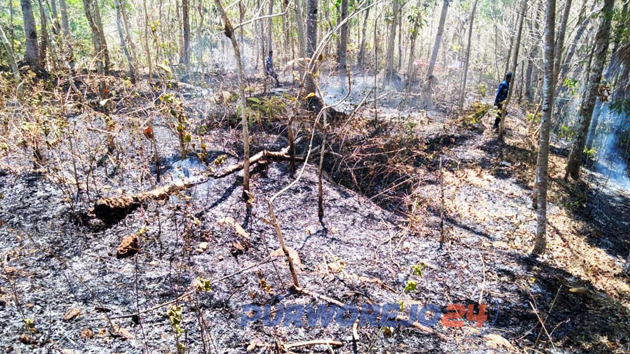 Kebakaran hanguskan 1 hektare kebun milik warga di soko bagelen. (21/10/2019)