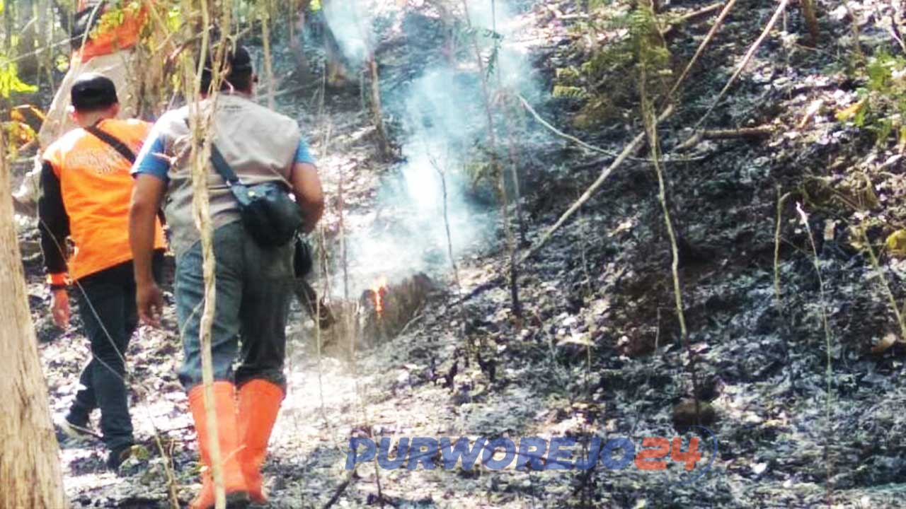 Kebakaran lahan di Semagung, Bagelen. (27/10/2019)