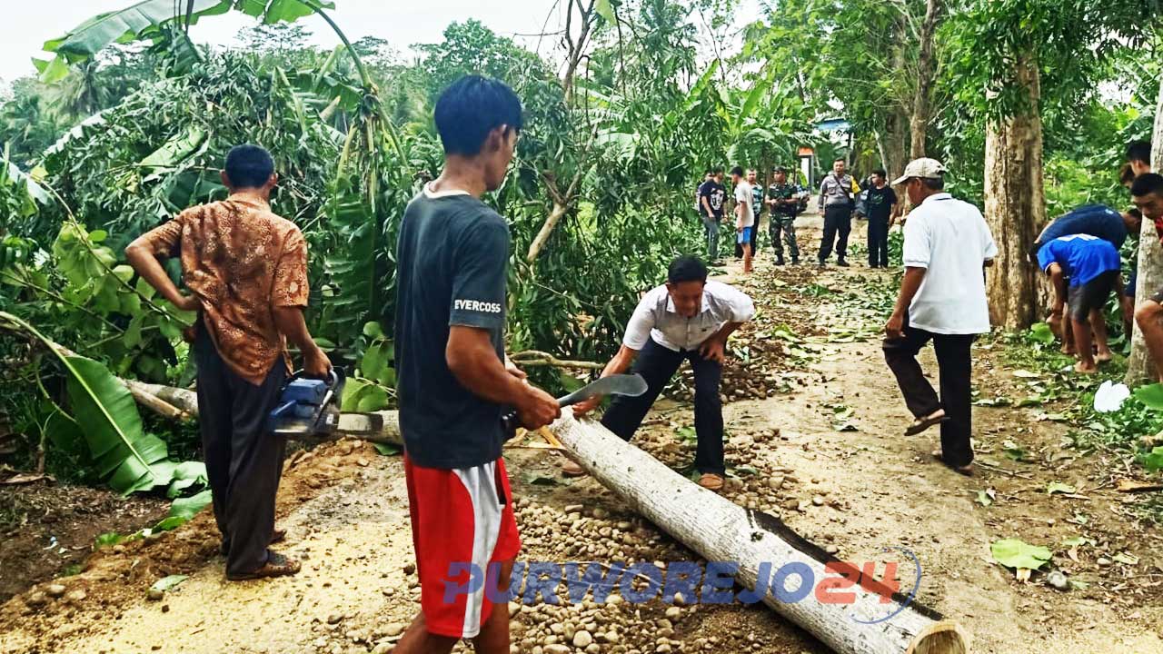 Warga blokir jalan desa denganc ara menebang pohon yang ada di pinggir jalan.