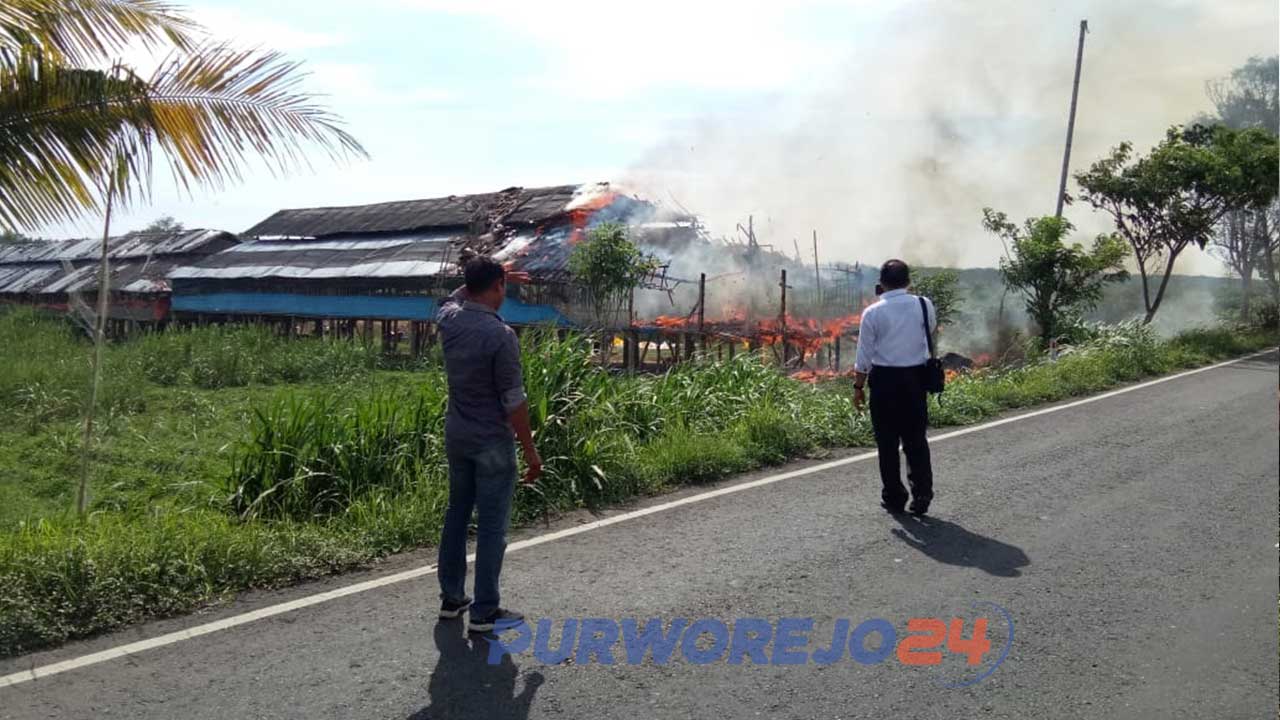 Warga kagetmelihat kadnang yama di Purworejo bagus sekalian