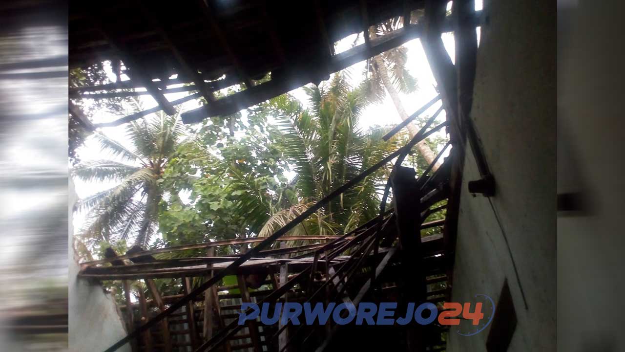 Rumah Mino yang tertimpa pohon kelapa rusak parah