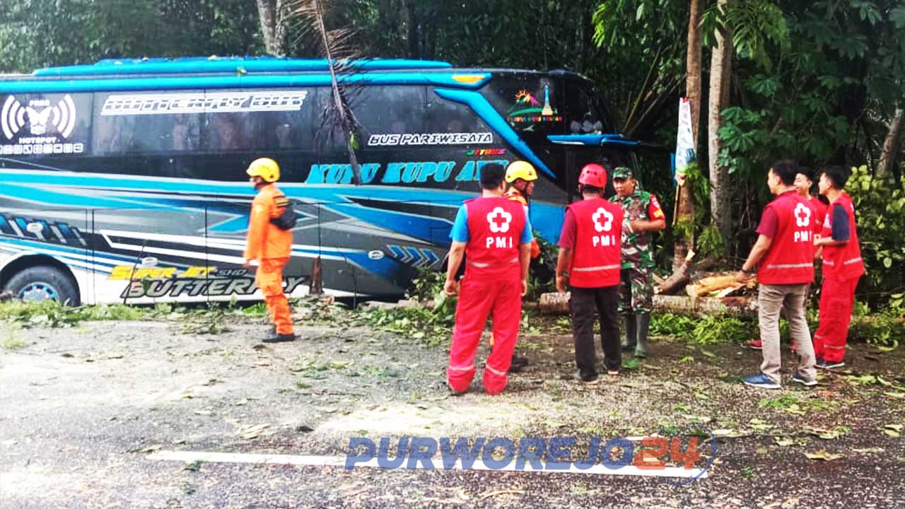 Basarnas Congot bersama sama dengan Satlantas Polres Purworejo, PMI Kulonprogo, BPBD Kulonprogo dan warga setempat memberikan pertolongan pada penumpang bus wisata yang menabrak pohon di Jalan Daendels, Purworejo. (5/1/2020)