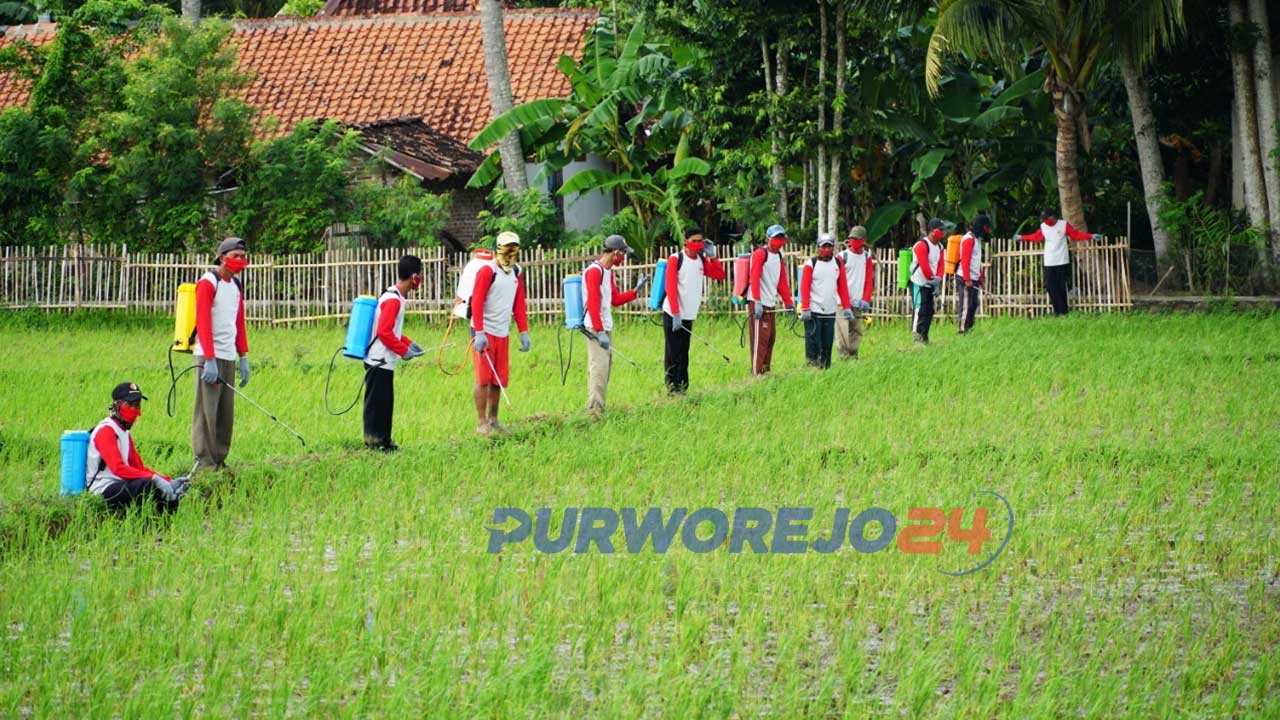 Penyemprotan masal di Desa Tunjungan Kecamatan Ngombol, Kamis (14/05/2020).