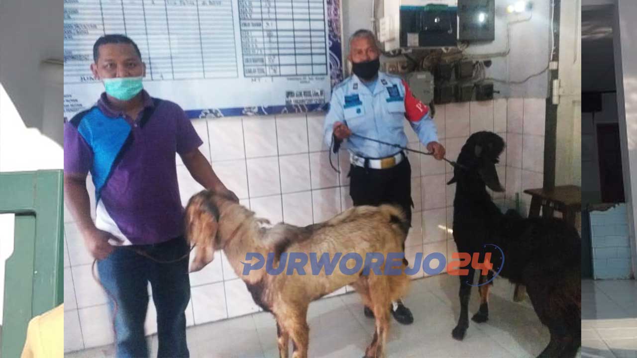 Rutan Purworejo merayakan hari raya Idul Adha dengan menyembelih 4 ekor hewan kurban.