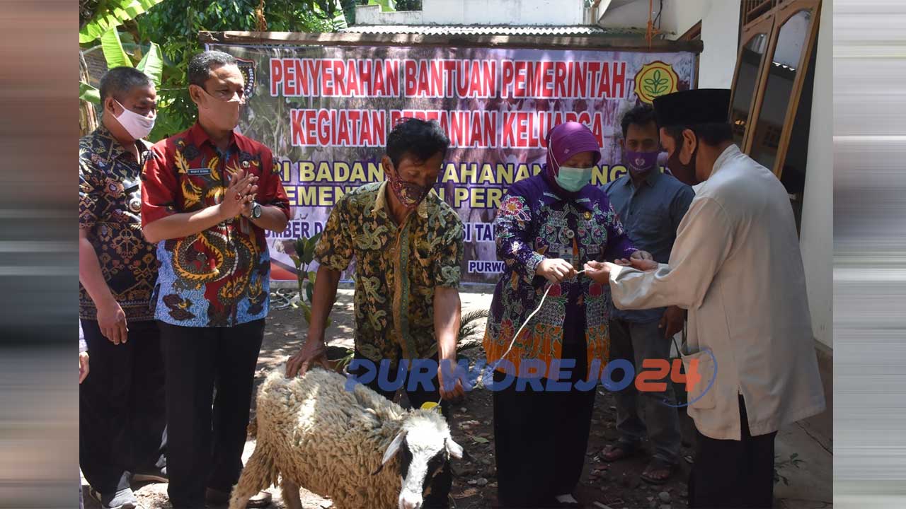 Wakil Bupati Purworejo Yuli Hastuti menyerahkan bantuan kambing.