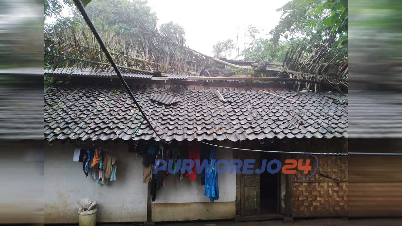 Rumah tertimpa pojon.