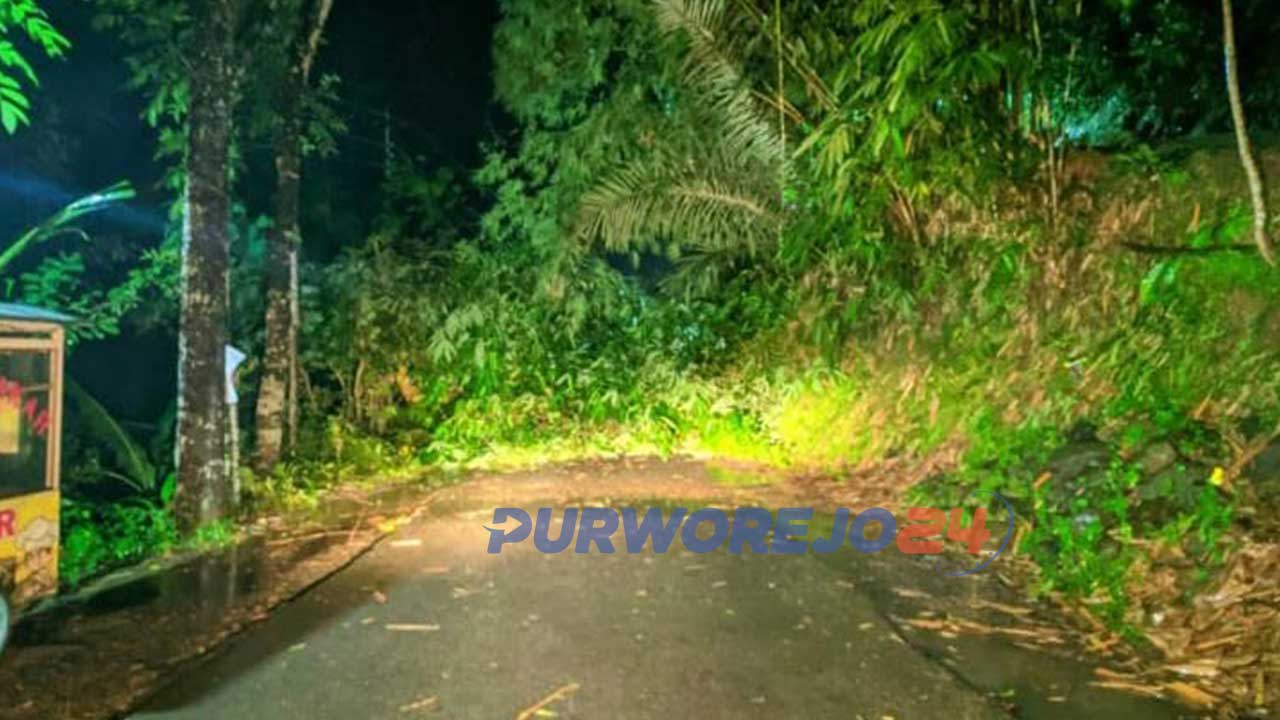Jalan Purworejo-Banyuasin yang terttutup tanah longsor dan pohon tumbang. (12/1/2021)