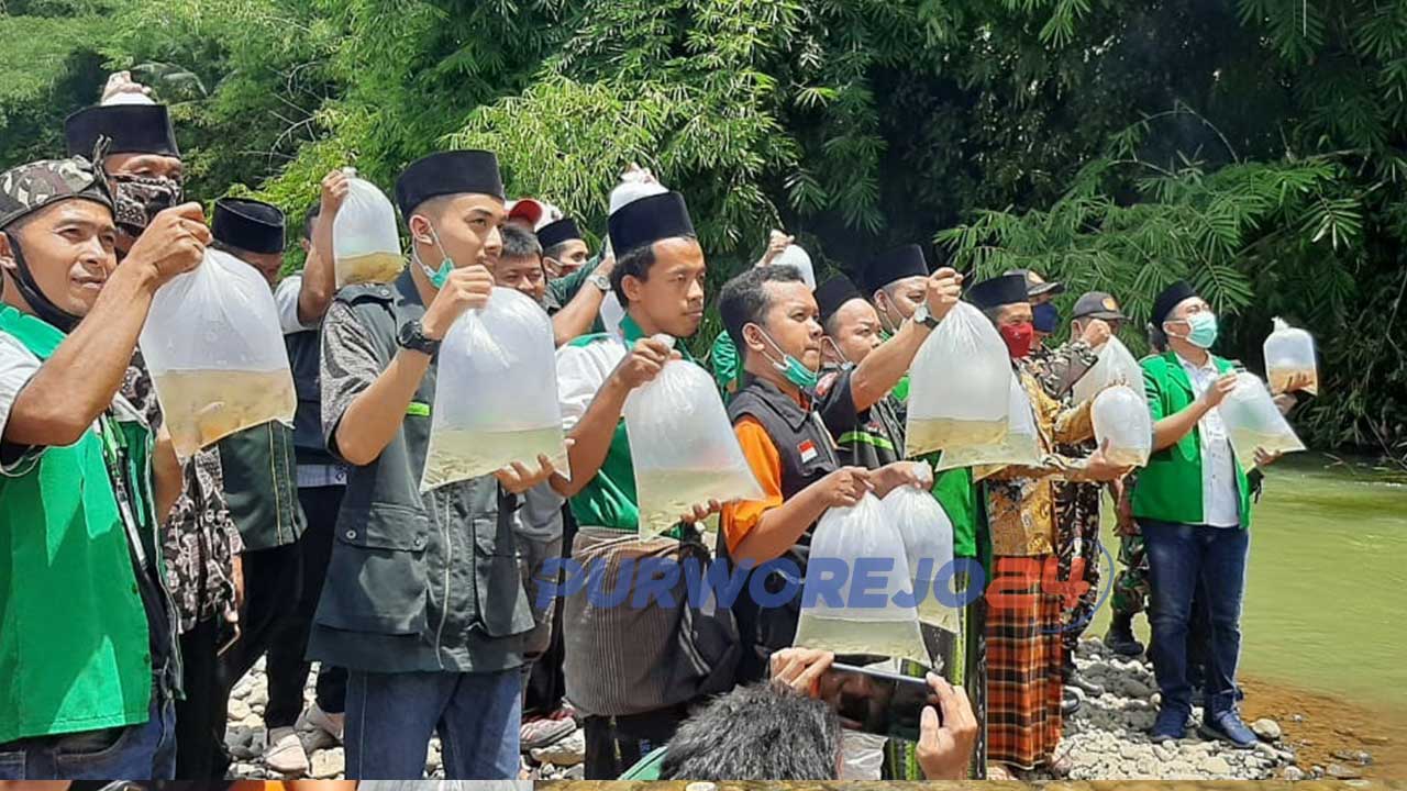 Penebaran 3.000 benih ikan di Sungai Kalijali, Winong usai pembukaan Rakercab PAC GP Ansor Kemiri, Minggu (28/03/2021)