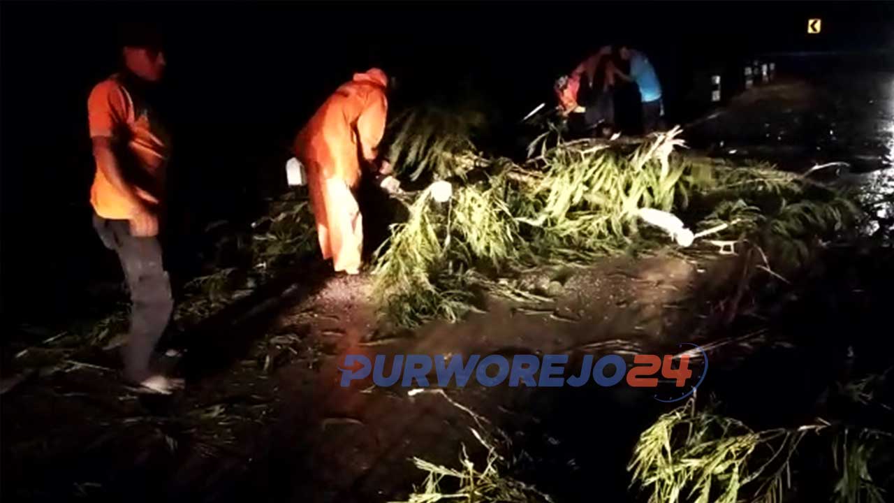 Warga dibantu relawan dan petugas BPBD membersihkan batang pohon tumbang.