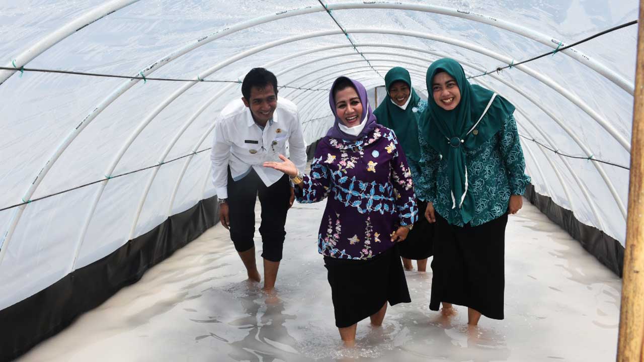 Ketua TP PKK Kabupaten Purworejo mengunjungi usaha terapi garam dipusatkan di tambak garam pantai Jetis Desa Patutrejo