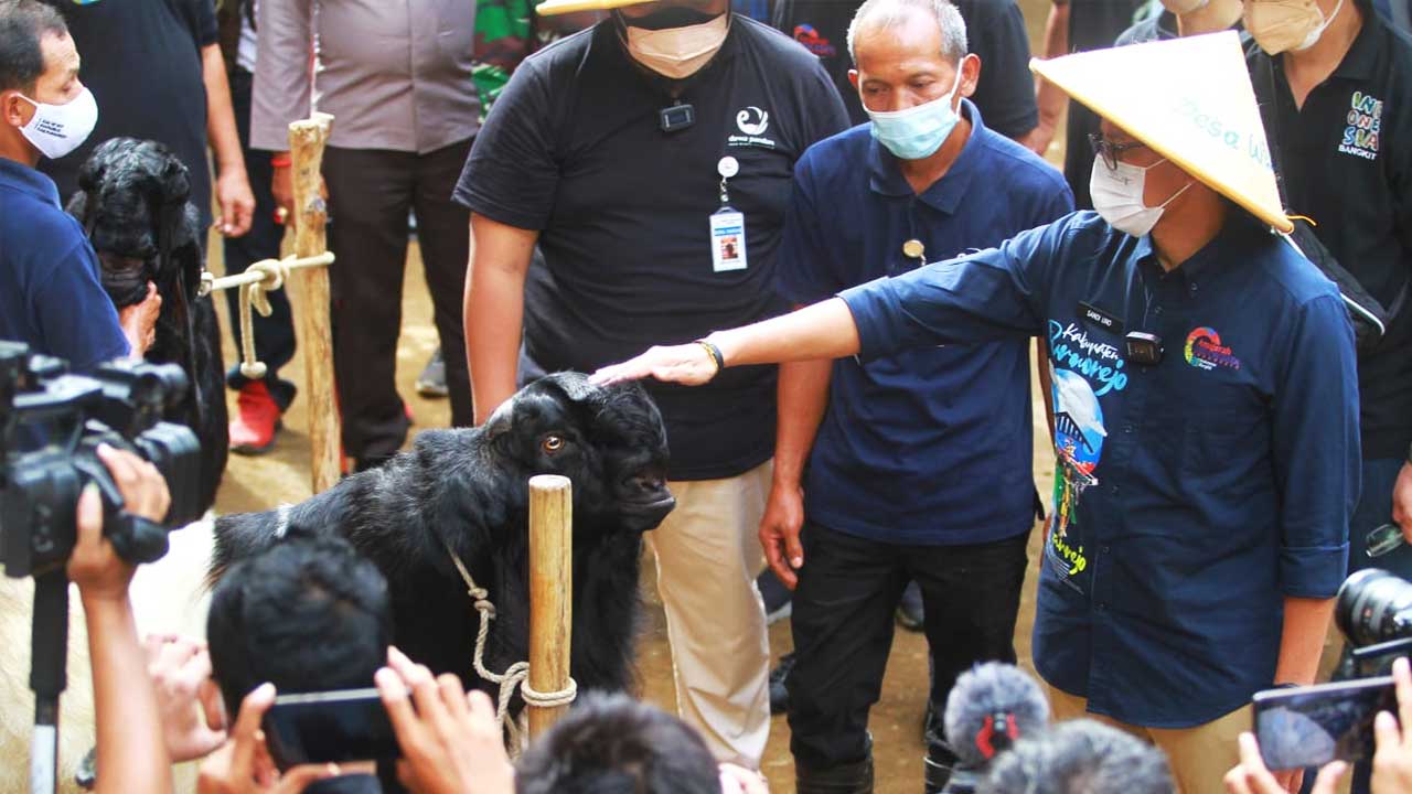 Sandiaga Uno kunjungi Desa Wisata Pandanrejo, Kaligesing, Purworejo, Jawa Tengah.