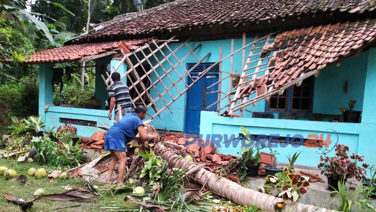 Dua rumah warga di Kabupaten Purworjeo rusak tertimpa pohon tumbang, Sabtu (4/12/2021).