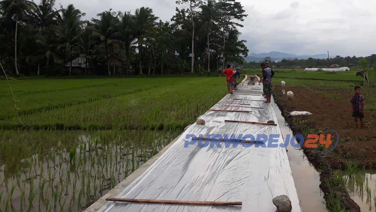 Warga dan Lembaga Tunas Pemuda (LTP)  Dusun Jimatan Desa Gedong Kecamatan Kemiri Kabupatem Purworejo  melaksanakan  perbaikan jalan akses pertanian