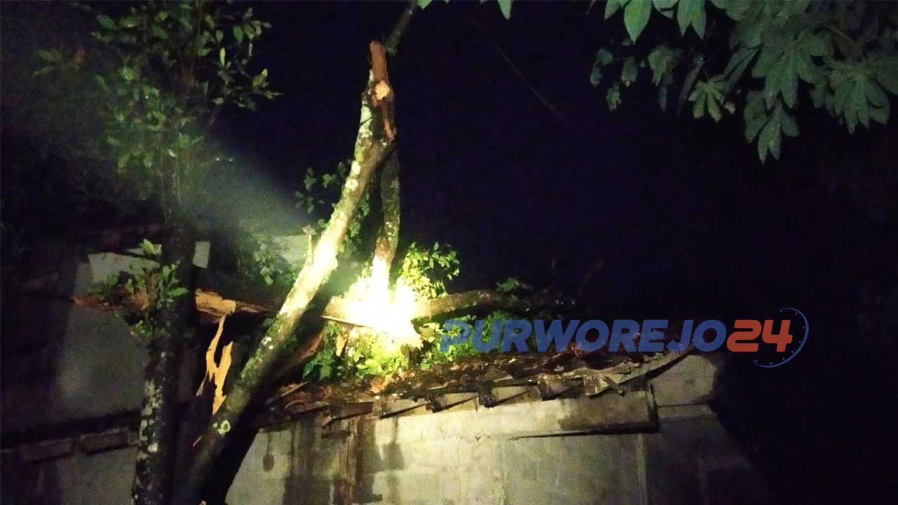Pohon tumbang di Desa Tlogobulu Kaligesing