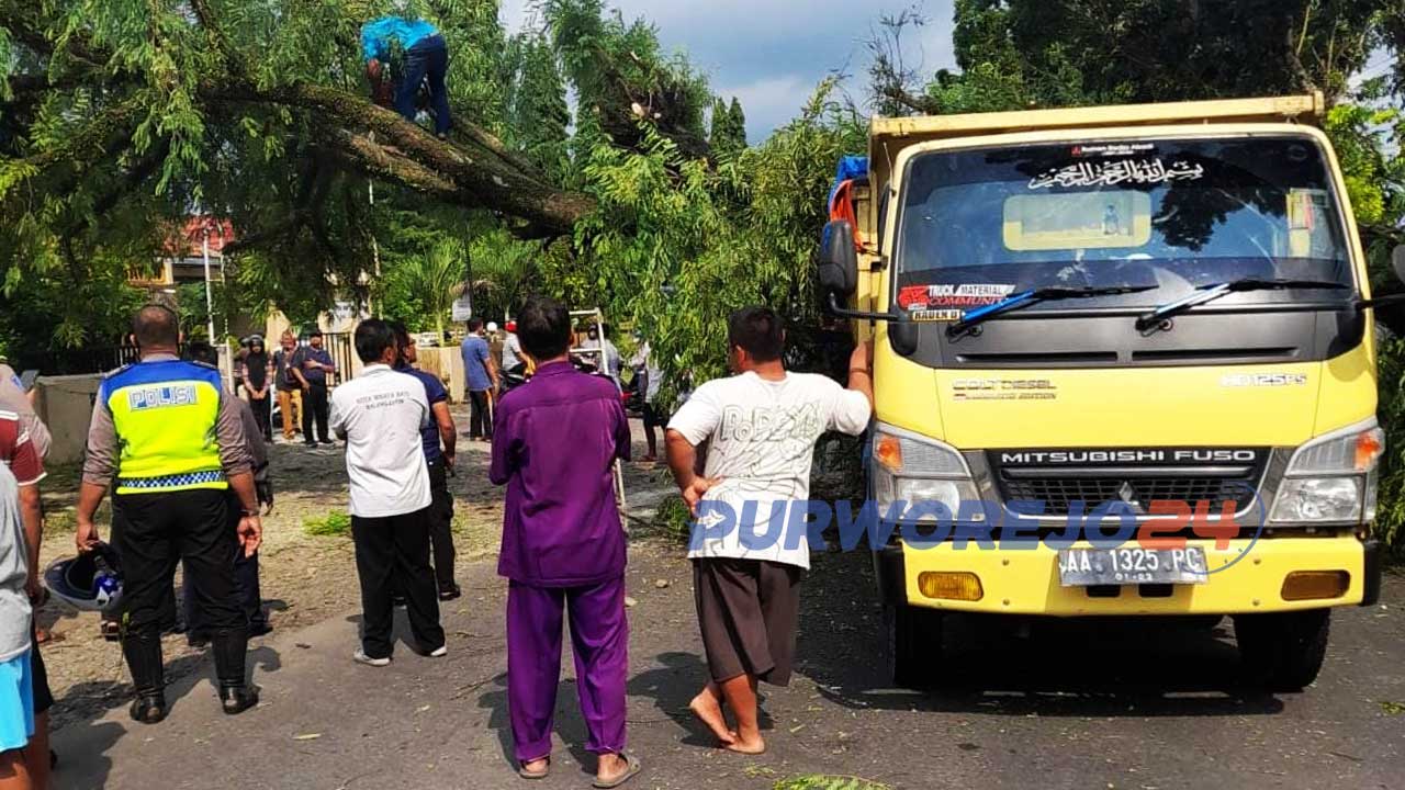 Pohon tumbang menimpa truk