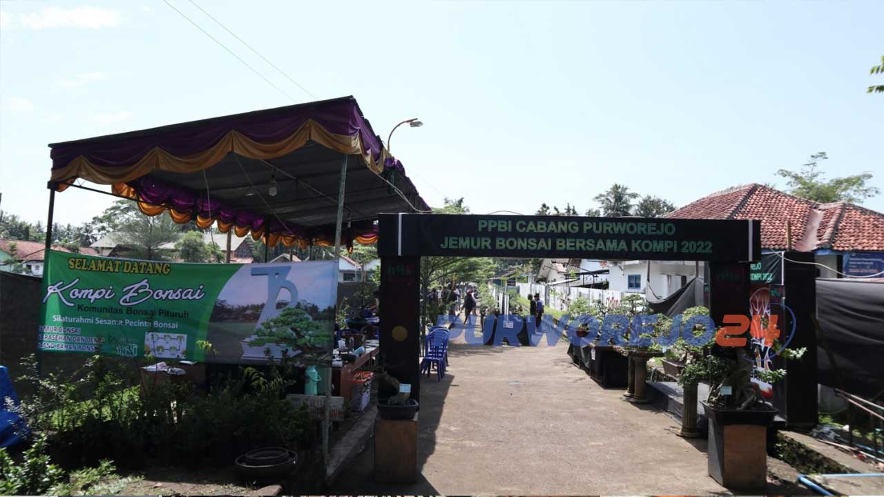 Jemur Bonsai bersama Komunitas Bonsai Pituruh (Kompi) 2022 di kawasan Alun-Alun Kecamatan Pituruh Kabupaten Purworejo, Jawa Tengah.