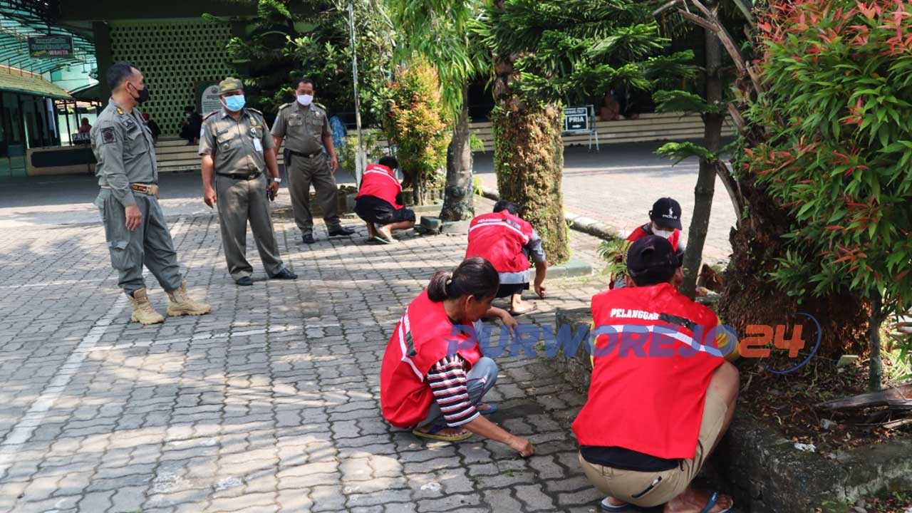 Empat orang Pedagang Kaki Lima (PKL) dan seorang pengamen di seputaran alun-alun Purworejo dan perempatan BRI Kutoarjo, Purworejo, Jawa Tengah, mendapat sanksi hukuman berupa membersihkan jalan dengan menyapu dan mencabuti rumput