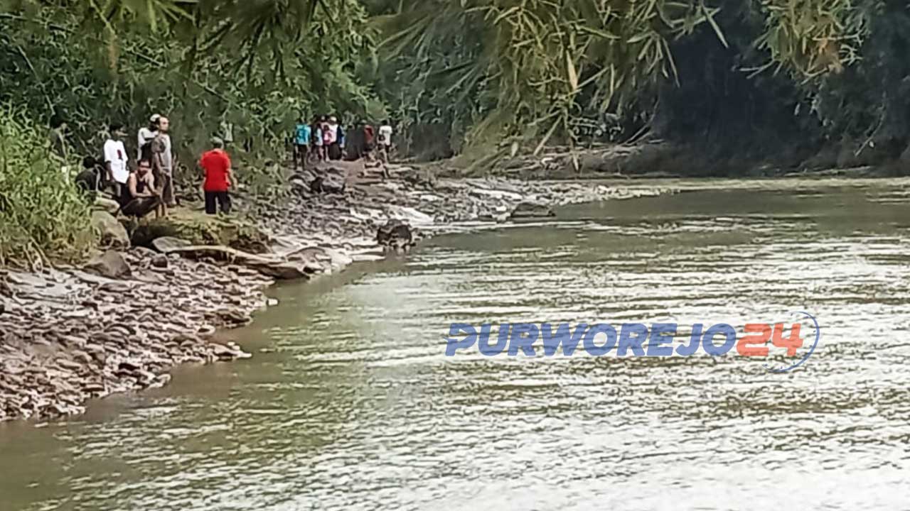 Sejumlah relawan dari BPBD, PMB Rescue dan masyarakat melakukan pencarian seorang bocah 11 tahun yang hilang saat tengah bermain di Sungai Bogowonto