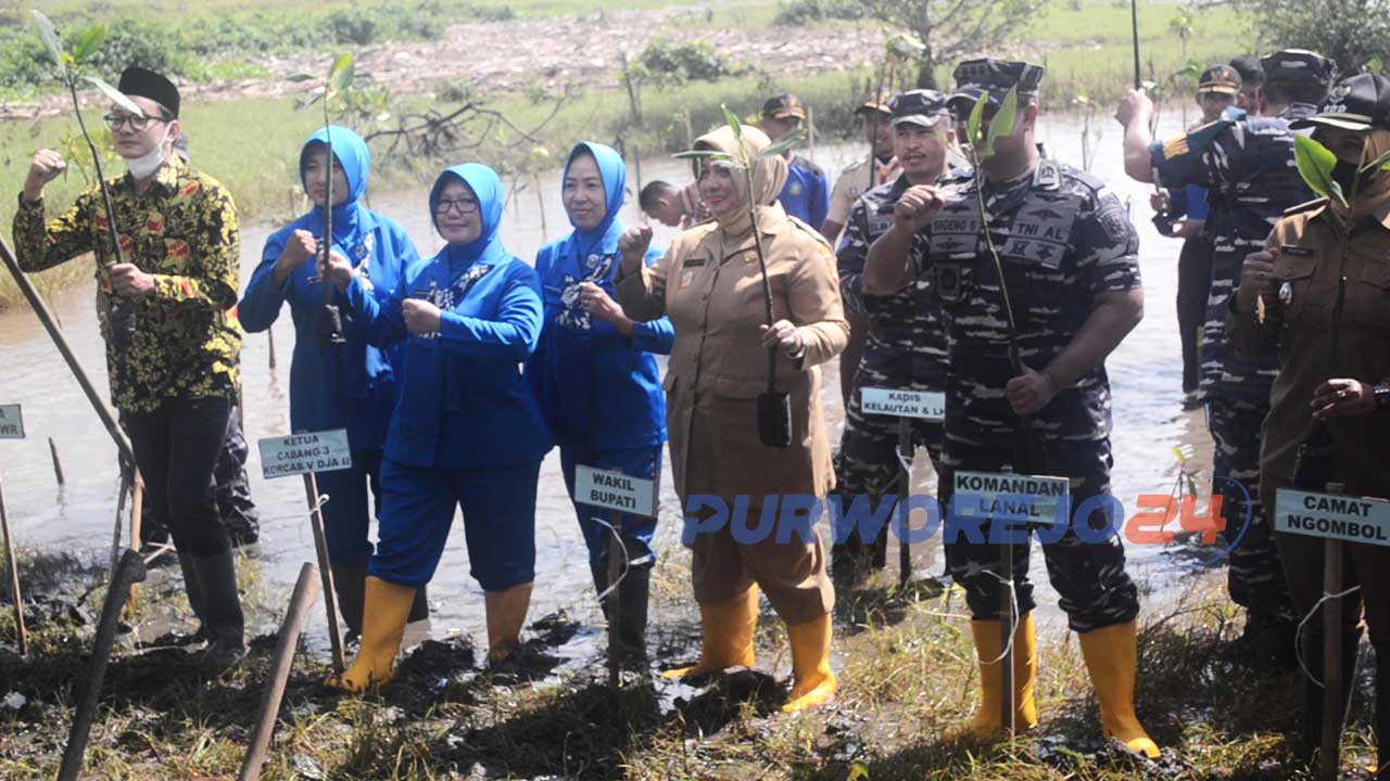 Danalanal Cilacap, Wakil Bupati, Ketua PDRD Puworejo dan masyarkat melakukan penenman mangrove di desa Keburuhan