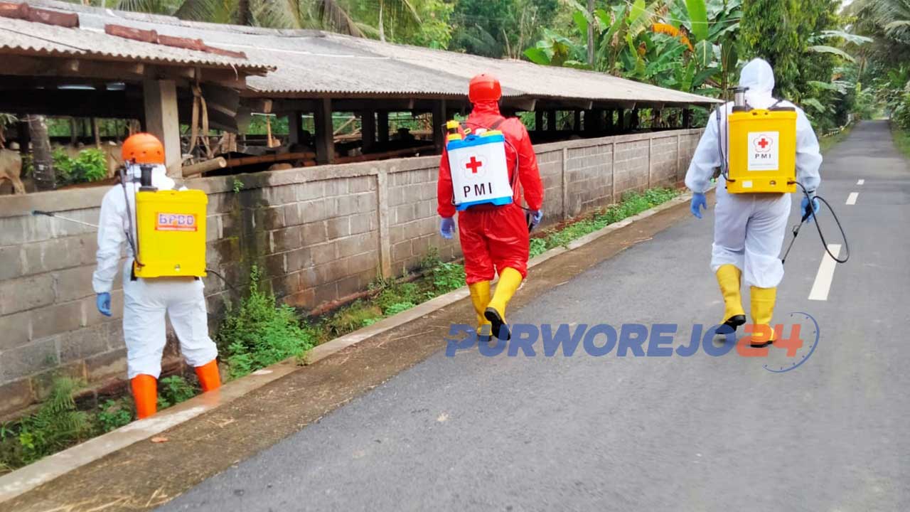 Petugas melakukan penyemprotan disinfektan di sekitar kandang