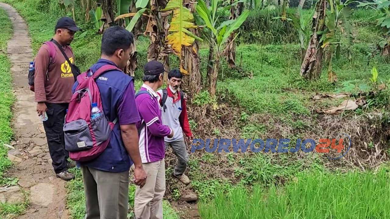Sejumlah petugas melakukan Pengukuran dan Perhitungan Tanam Tumbuh Tahap II lahan quarry di desa Wadas