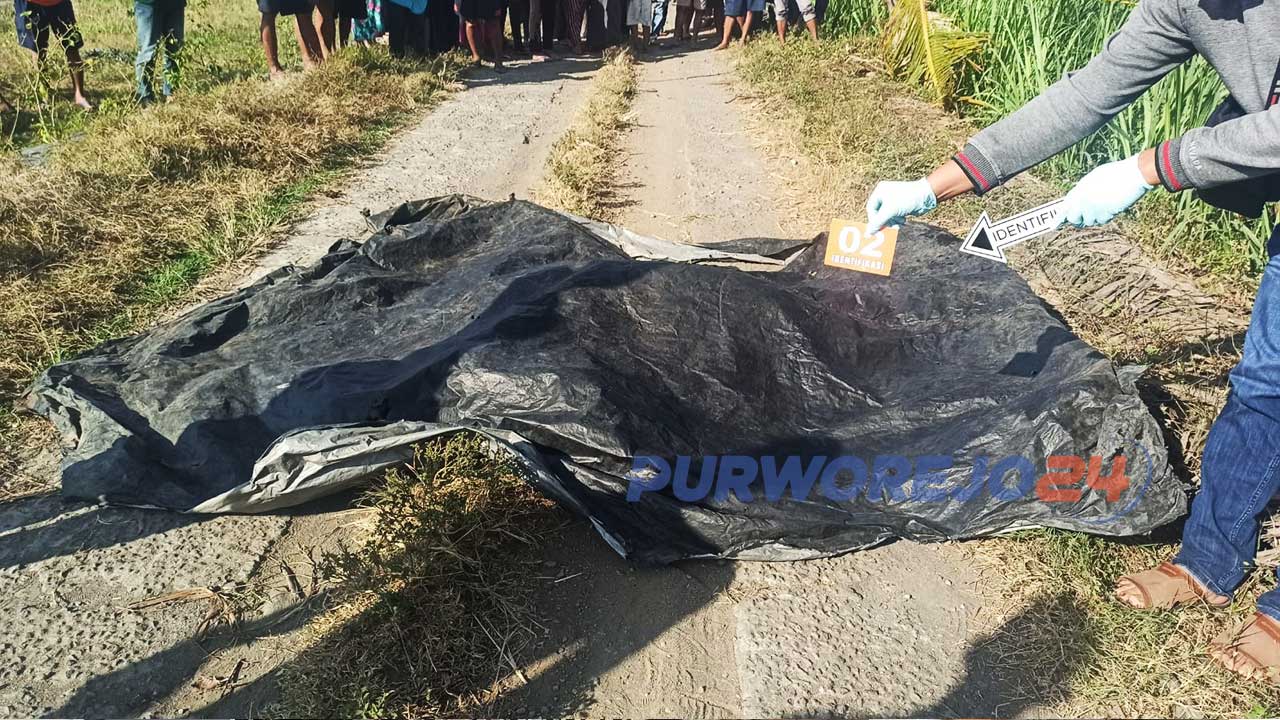 Olah TKP terkait temuan mayat penuh luka di jalan desa sebelah timur SPBU Desa Kentengrejo Kecamatan Purwodadi Kabupaten Purworejo