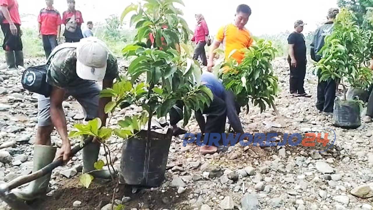 DPC PDIP Kabupaten Purworejo, Jawa Tengah, menggelar kegiatan gerakan penanaman seribu pohon tanaman buah di tepian kali sekitaran Bendung Kebangsan, Desa Ganggeng, Kecamatan Purworejo