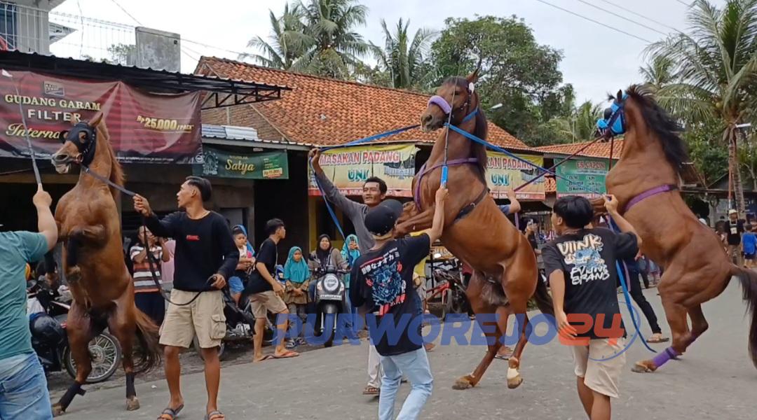Suasana Atraksi Kuda Jingkrak dalam acara Sosialisasi dan Pengenalan Caleg di Desa Tamansari, Kecamatan Butuh, Purworejo, Jawa Tengah, pada Minggu (10/12/2023).