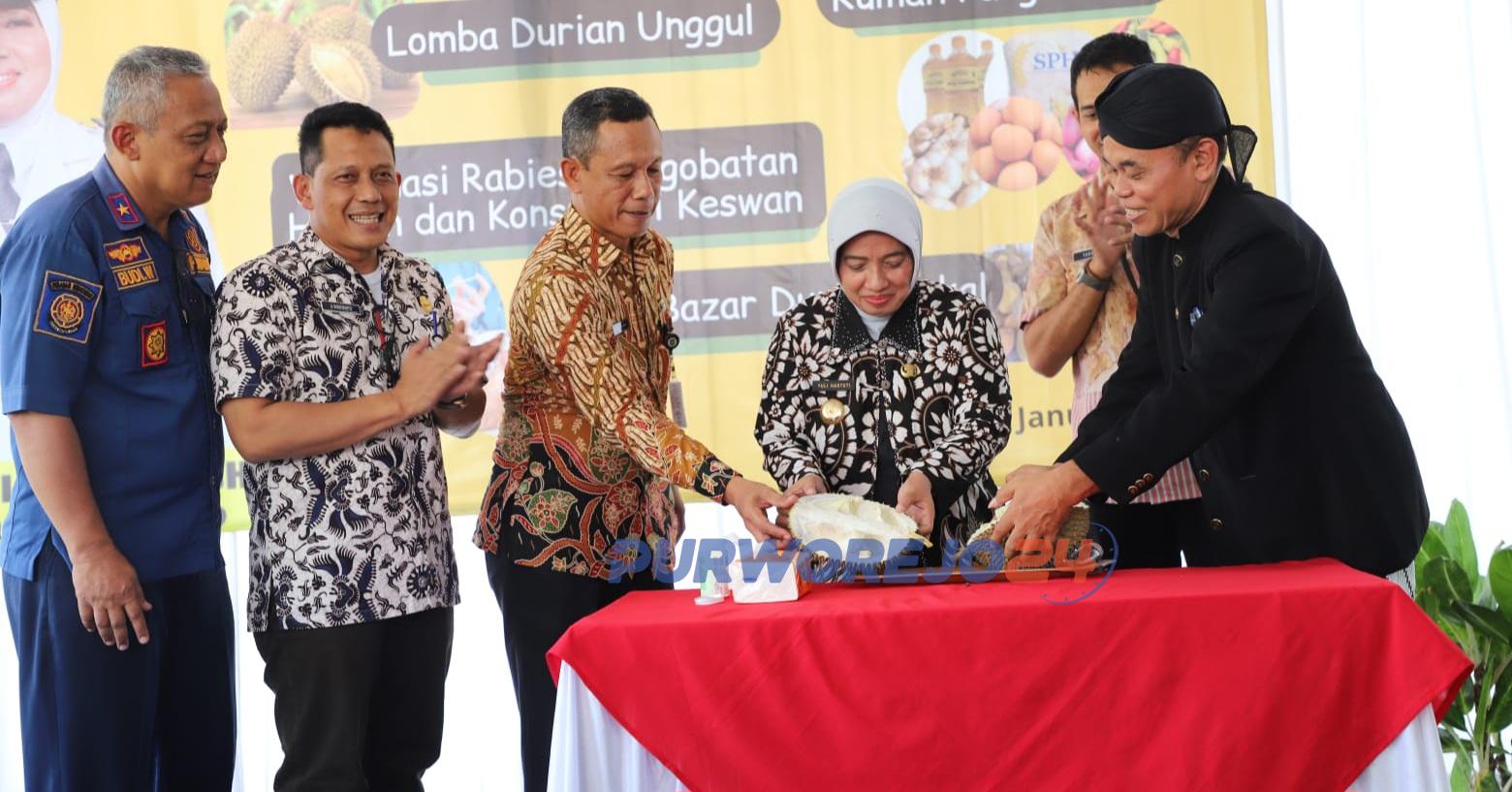 Simbolis membuka durian secara bersama menjadi tanda dibukanya Festival Durian Lokal Purworejo, dihalaman kantor DKPP Purworejo, pada Kamis (25/1/2024)