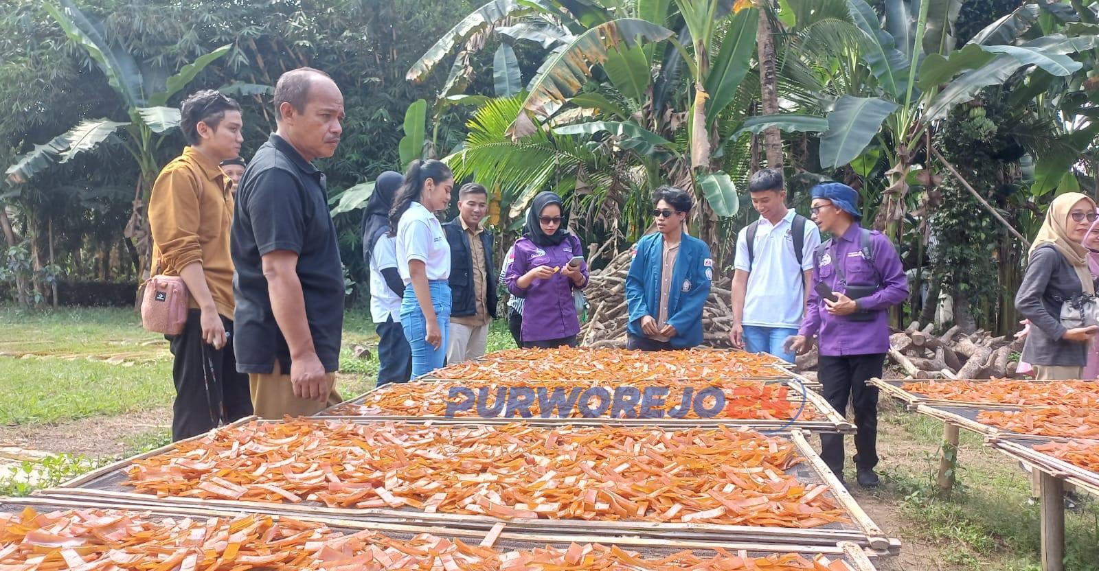 Rombongan penguji paket wisata melihat produksi UMKM kerupuk di Desa Megulung Kidul, Pituruh, Senin (3/6/2024).