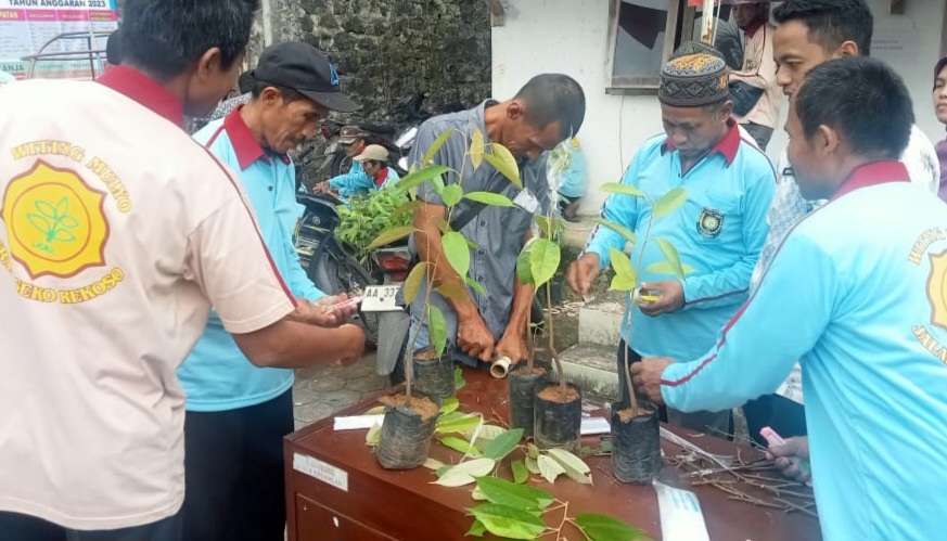 Suasana kegiatan pelatihan pengembaangan bibit durian unggul slumun di Desa Kalogondang, Pituruh