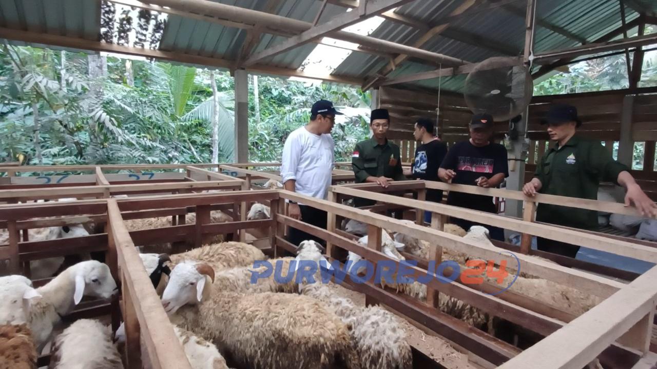 Tim uji paket wisata Dinporapar Purworejo saat mengunjungi kandang domba di Desa Ngadirejo, pada Jumat (7/6/2024)