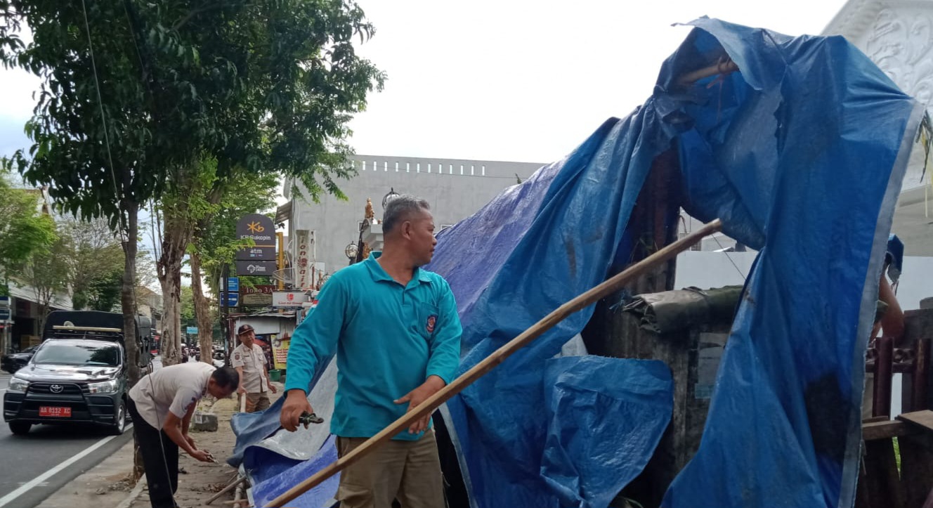 Petugas saat membongkar tenda durian di Purworejo