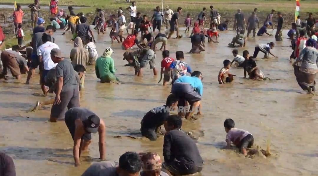 Lomba tangkap lele di Desa Krandegan