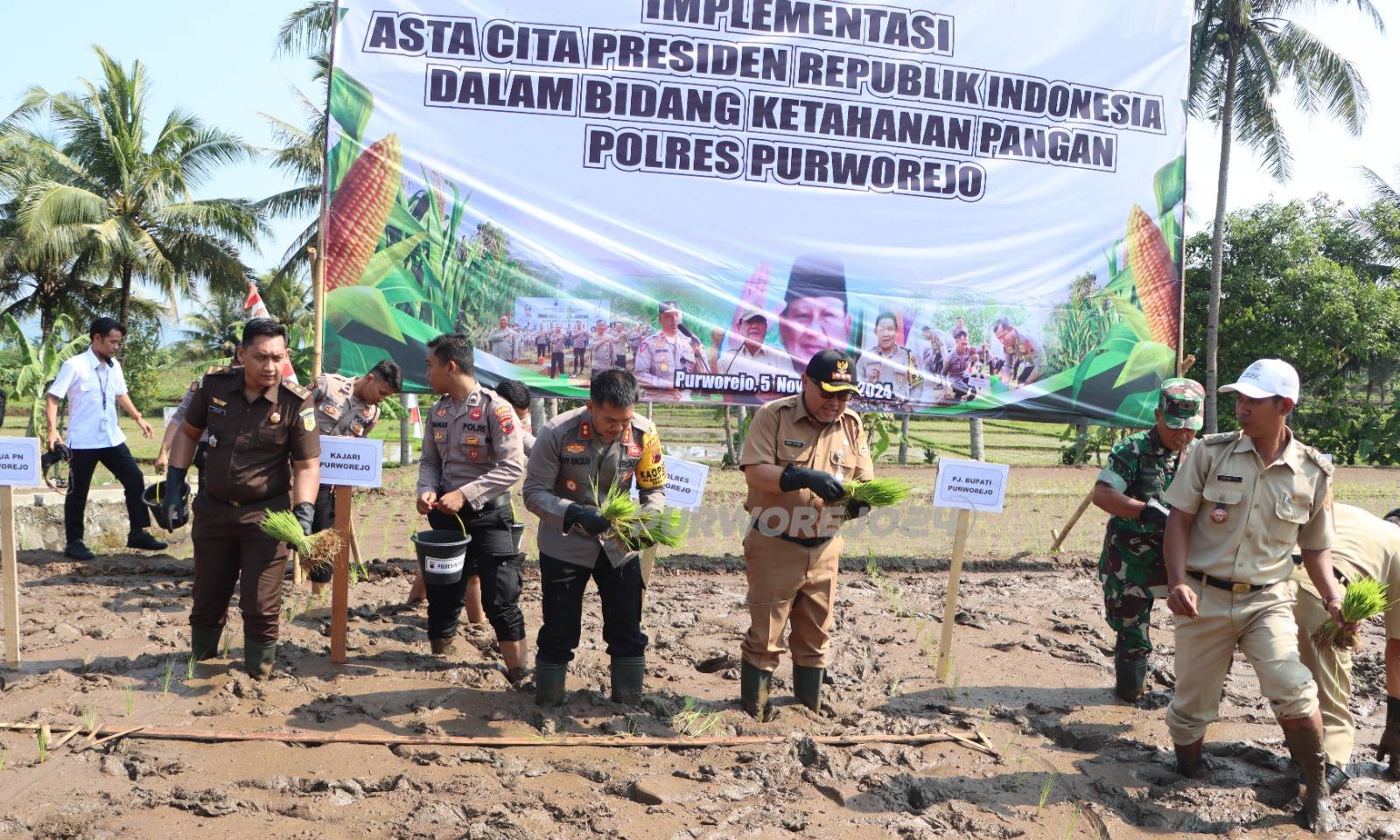 Kegiatan tanam padi bersama di Desa Kalimiru