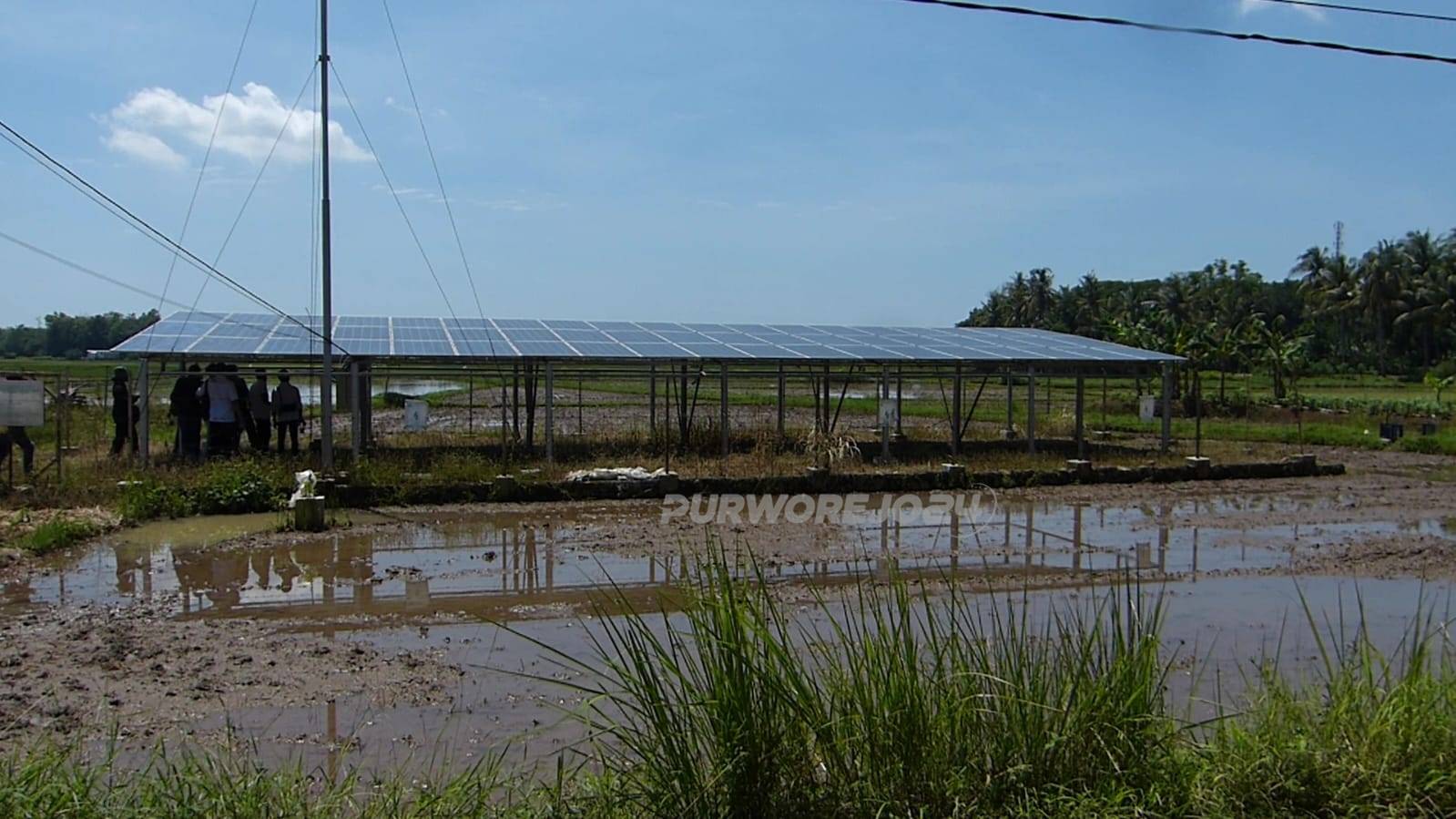 Panel Surya di Desa Krandegan Bayan, Kabupaten Purworejo berkapasitas 18.810 wat untuk pengairan 70 hektar sawah.