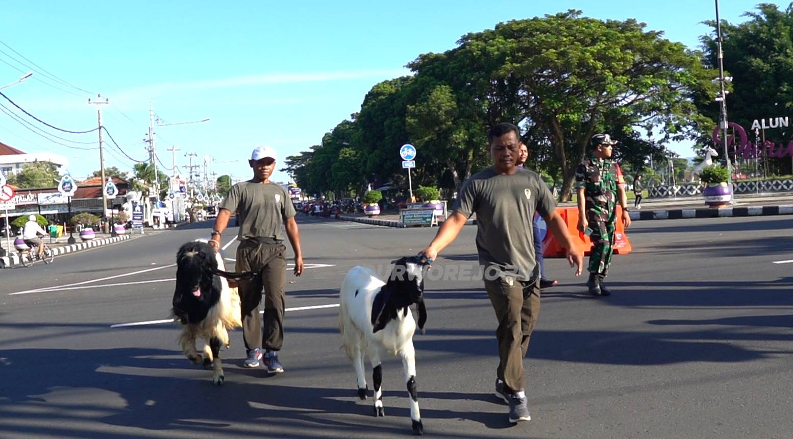 Kodim 0708 Purworejo tampilkan kambing etawa Kaligesing di alun- alun besar Purworejo