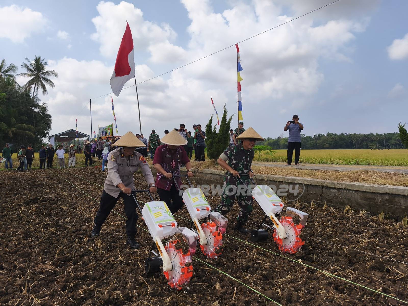 Prosesi penanaman jagung