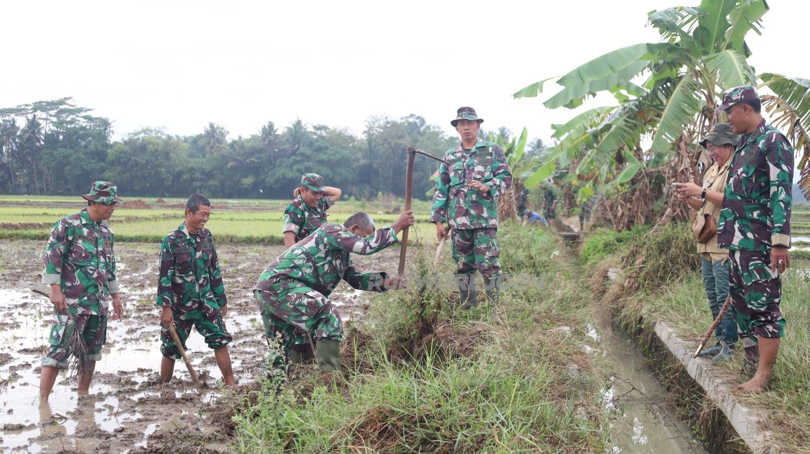 Pembasmian tikus di Desa Pundensari