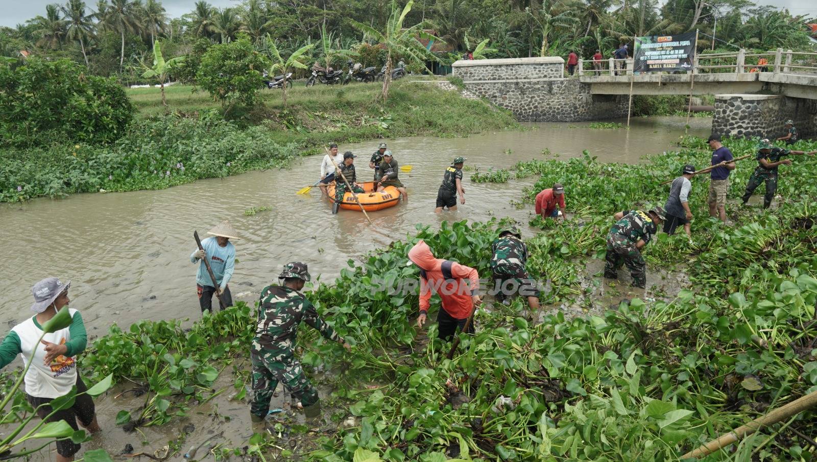Suasana pembersihan sungai dari enceng gondok di Desa Trimulyo