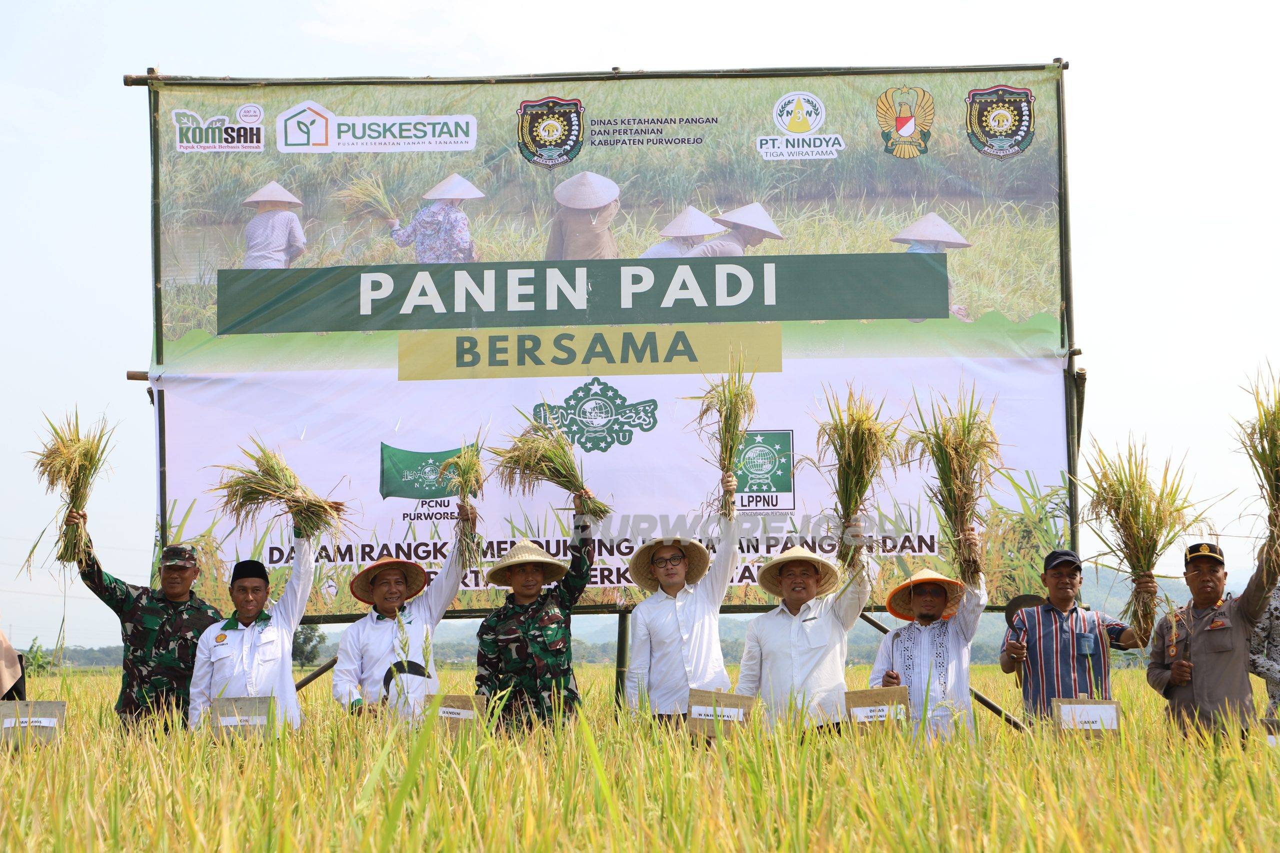 Saat panen raya padi di Desa Jogoresan