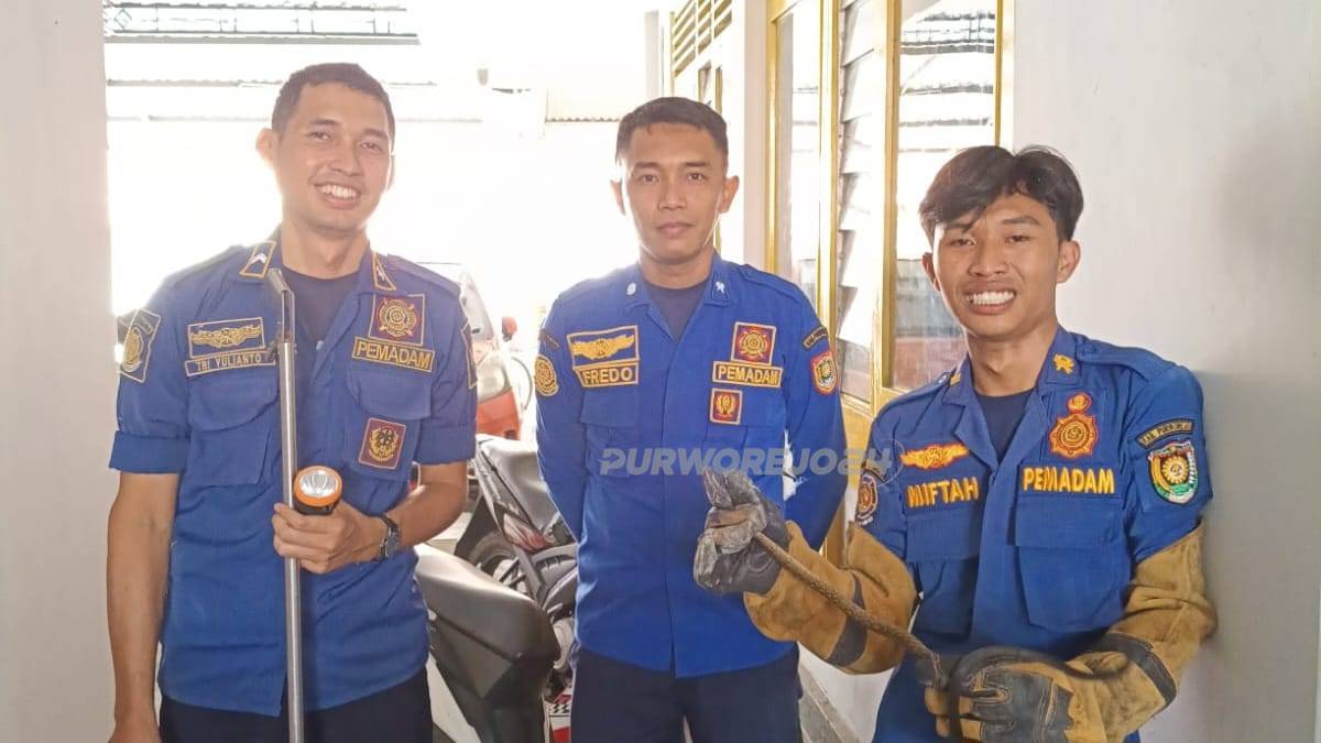 Petugas damkar usai mengevakuasi ular dirumah warga