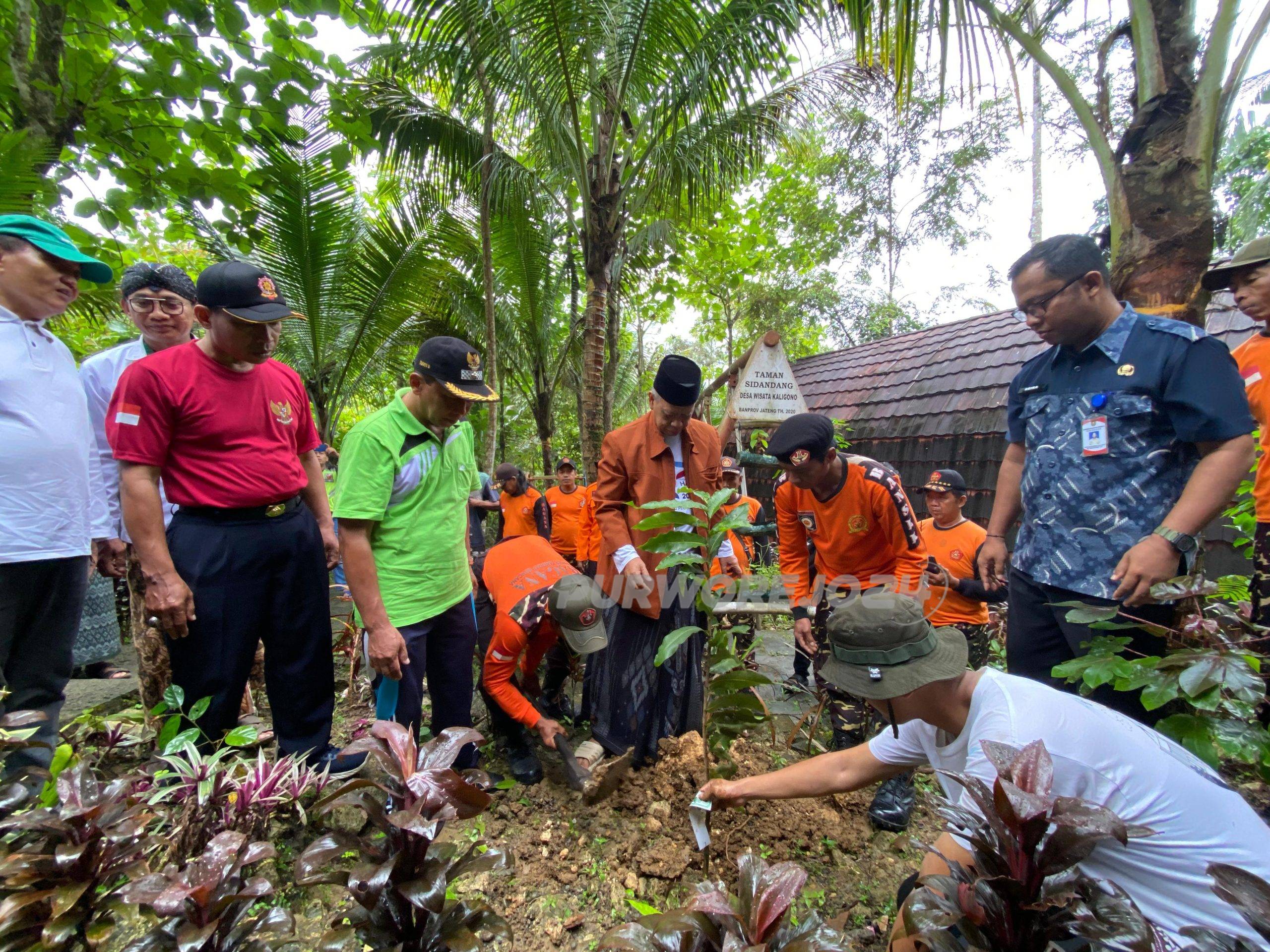Kegiatan penanaman pohon