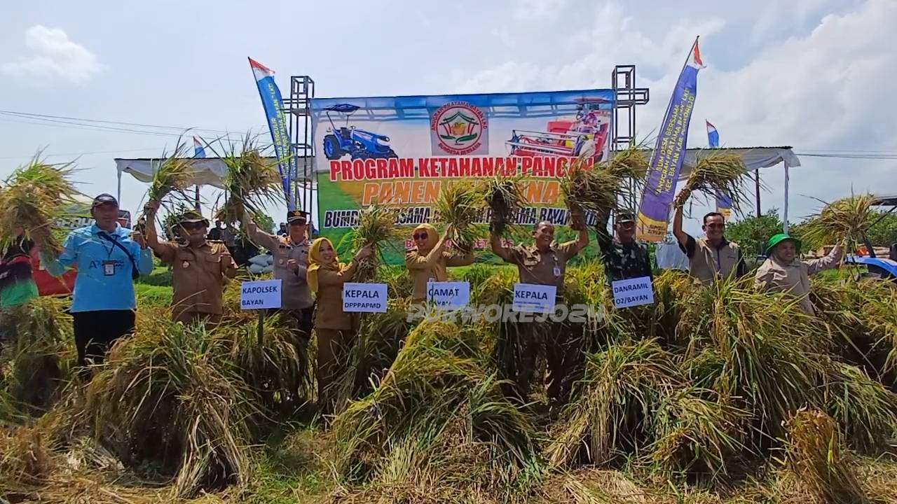 Saat pamen raya padi perdana Bumdesma Anugrah Pratama Bayan di Desa Jrakah, pada Selasa (10/3/2026)
