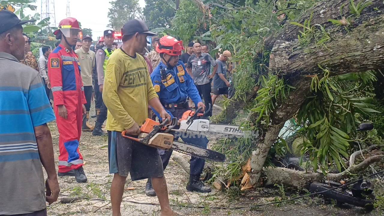 Petugas saat memotong dahan yang patah dan evakuasi motor yang tertimpa dahan